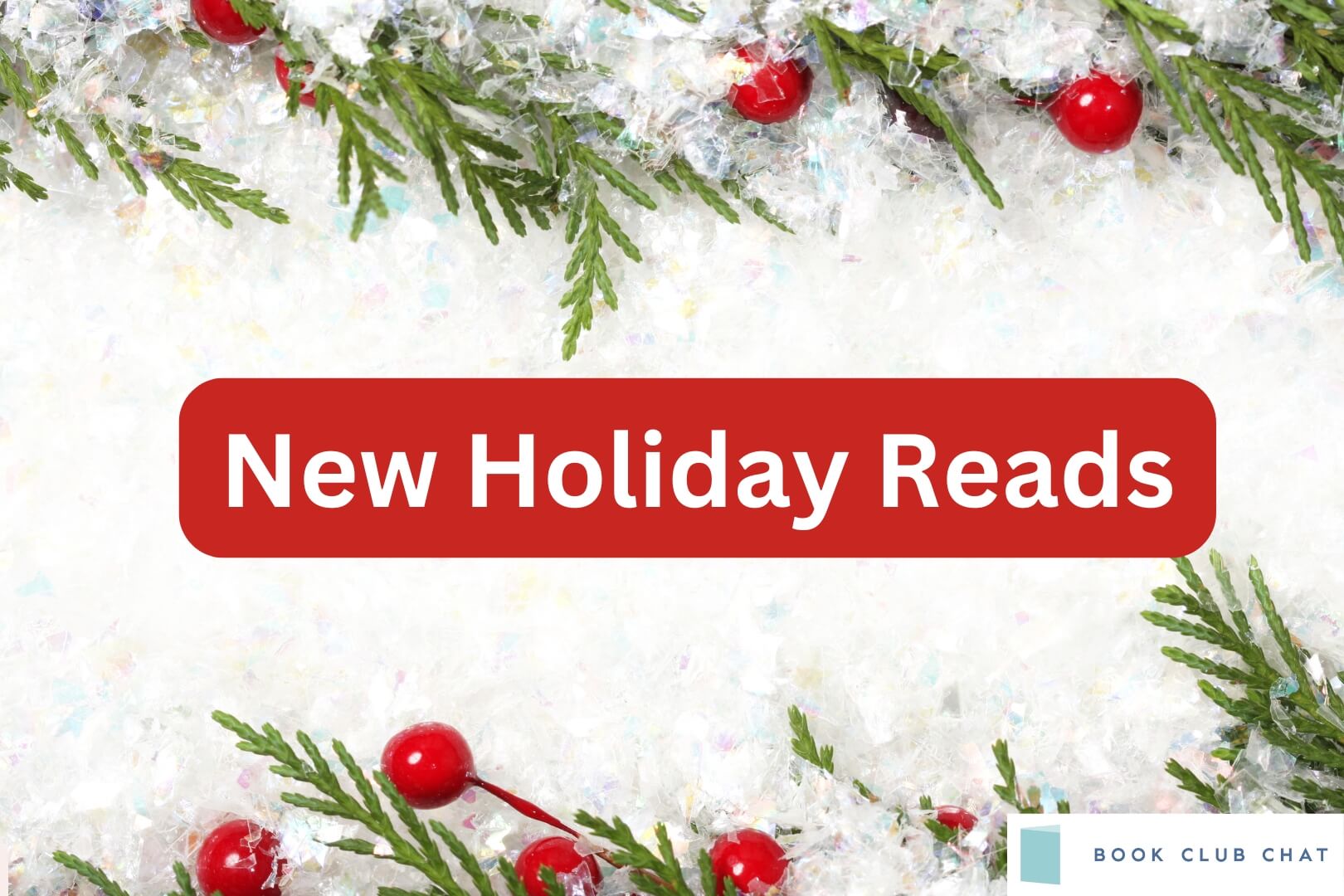 New Holiday Books for 2025